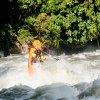 Wave Sport Phoenix (Barva Cyber Yellow)